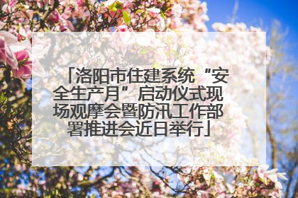 洛阳市住建系统“安全生产月”启动仪式现场观摩会暨防汛工作部署推进会近日举行