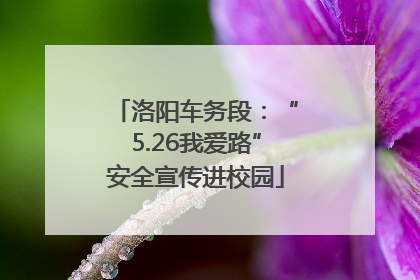 洛阳车务段：“5.26我爱路”安全宣传进校园
