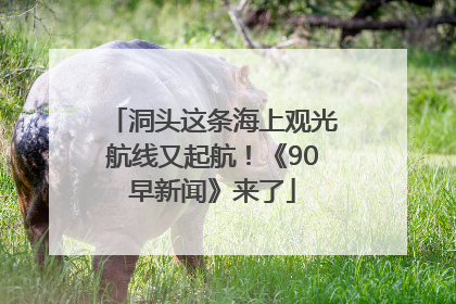 洞头这条海上观光航线又起航！《90早新闻》来了