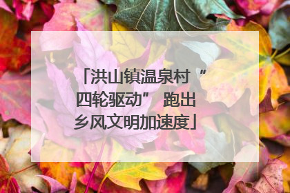 洪山镇温泉村“四轮驱动” 跑出乡风文明加速度