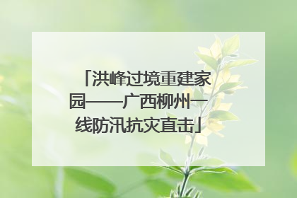 洪峰过境重建家园——广西柳州一线防汛抗灾直击
