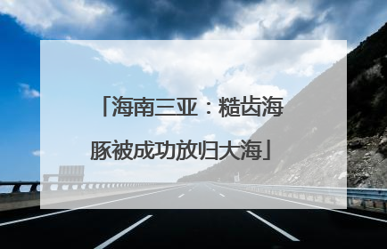 海南三亚：糙齿海豚被成功放归大海