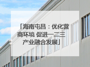 海南屯昌：优化营商环境 促进一二三产业融合发展