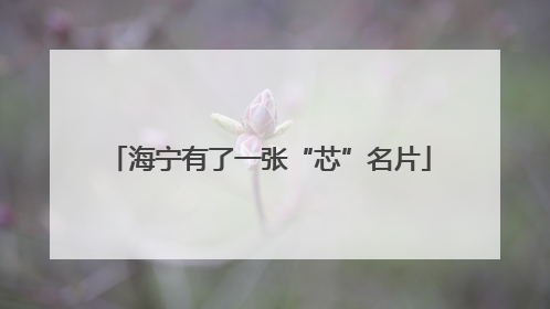海宁有了一张“芯”名片