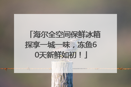 海尔全空间保鲜冰箱探享一城一味，冻鱼60天新鲜如初！