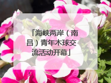 海峡两岸（南昌）青年木球交流活动开幕