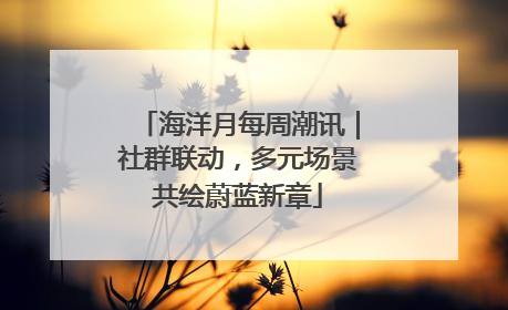 海洋月每周潮讯｜社群联动，多元场景共绘蔚蓝新章