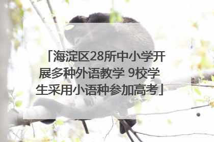 海淀区28所中小学开展多种外语教学 9校学生采用小语种参加高考