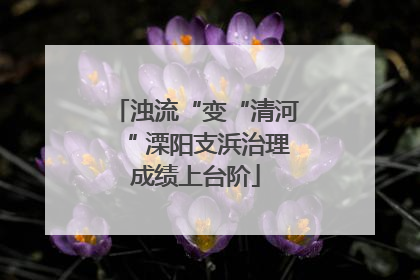 浊流“变“清河“ 溧阳支浜治理成绩上台阶
