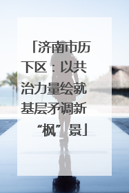济南市历下区：以共治力量绘就基层矛调新“枫”景