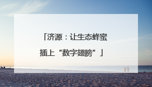济源：让生态蜂蜜插上“数字翅膀”