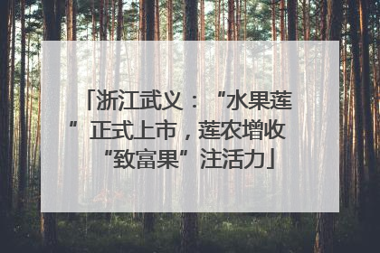 浙江武义：“水果莲”正式上市，莲农增收“致富果”注活力