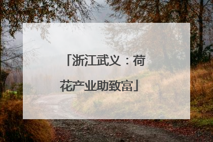 浙江武义：荷花产业助致富