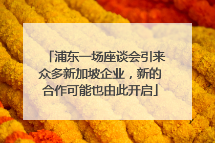 浦东一场座谈会引来众多新加坡企业，新的合作可能也由此开启