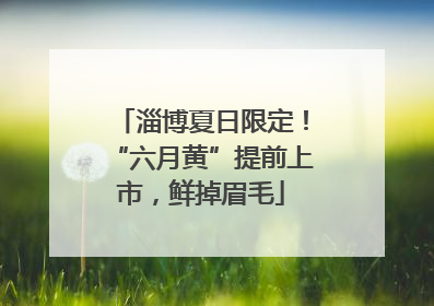 淄博夏日限定！“六月黄”提前上市，鲜掉眉毛