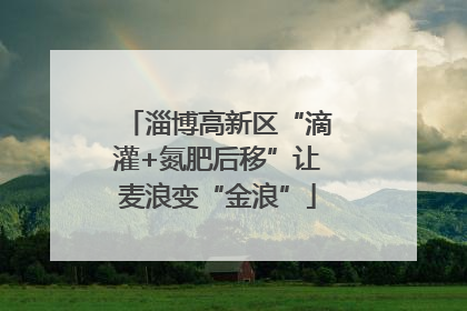 淄博高新区“滴灌+氮肥后移”让麦浪变“金浪”