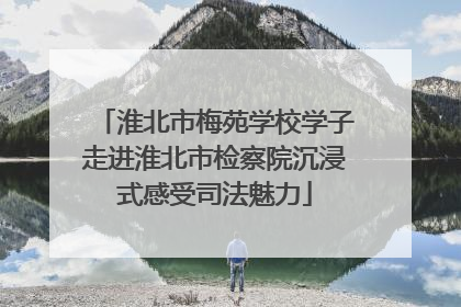 淮北市梅苑学校学子走进淮北市检察院沉浸式感受司法魅力