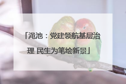 渑池：党建领航基层治理 民生为笔绘新景