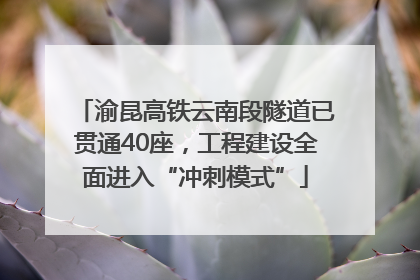 渝昆高铁云南段隧道已贯通40座，工程建设全面进入“冲刺模式”