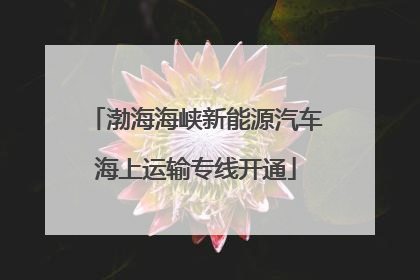 渤海海峡新能源汽车海上运输专线开通