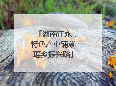 湖南江永：特色产业铺就瑶乡振兴路