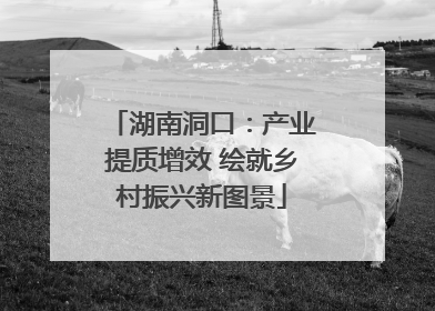 湖南洞口：产业提质增效 绘就乡村振兴新图景