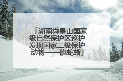湖南舜皇山国家级自然保护区巡护发现国家二级保护动物——脆蛇蜥
