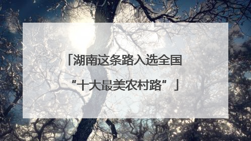 湖南这条路入选全国“十大最美农村路”