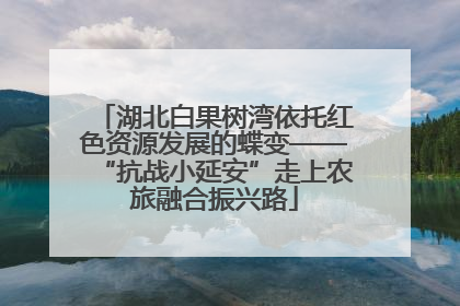 湖北白果树湾依托红色资源发展的蝶变——“抗战小延安”走上农旅融合振兴路