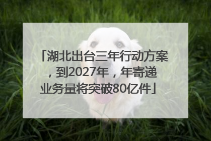 湖北出台三年行动方案，到2027年，年寄递业务量将突破80亿件