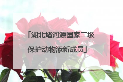 湖北堵河源国家二级保护动物添新成员