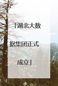 湖北大数据集团正式成立
