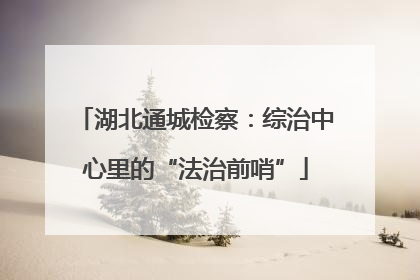 湖北通城检察：综治中心里的“法治前哨”