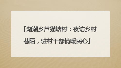 湖潮乡芦猫塘村：夜访乡村巷陌，驻村干部情暖民心