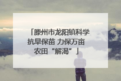 滕州市龙阳镇科学抗旱保苗 力保万亩农田“解渴”