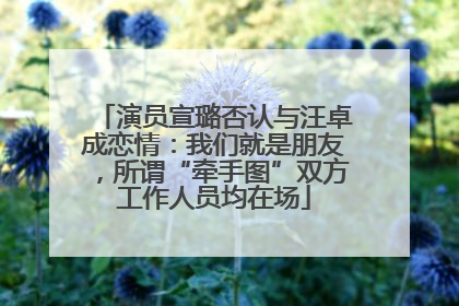 演员宣璐否认与汪卓成恋情：我们就是朋友，所谓“牵手图”双方工作人员均在场
