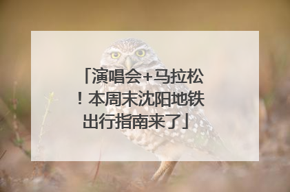 演唱会+马拉松！本周末沈阳地铁出行指南来了