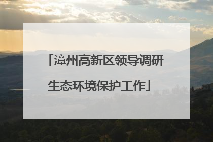 漳州高新区领导调研生态环境保护工作