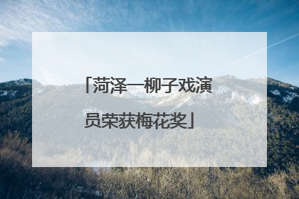 菏泽一柳子戏演员荣获梅花奖