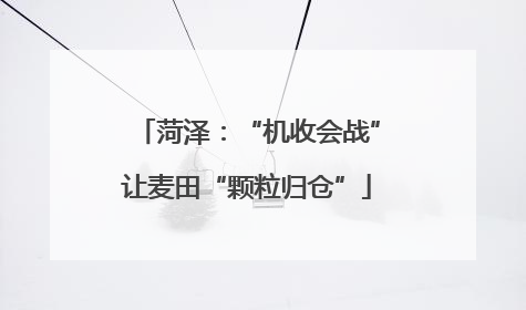 菏泽：“机收会战”让麦田“颗粒归仓”