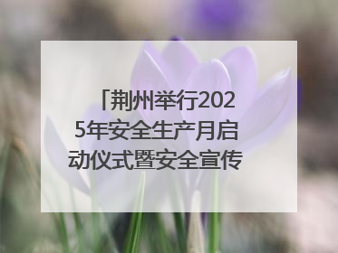 荆州举行2025年安全生产月启动仪式暨安全宣传咨询日活动