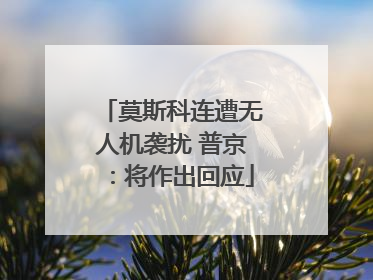 莫斯科连遭无人机袭扰 普京：将作出回应