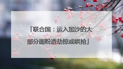 联合国：运入加沙的大部分面粉遭劫掠或哄抢