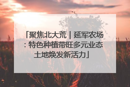 聚焦北大荒｜延军农场：特色种植带旺多元业态 土地焕发新活力
