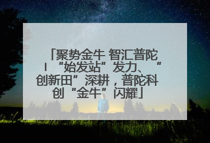 聚势金牛 智汇普陀〡“始发站”发力、“创新田”深耕，普陀科创“金牛”闪耀
