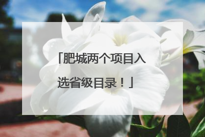 肥城两个项目入选省级目录！