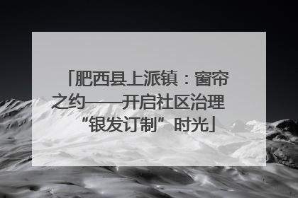 肥西县上派镇：窗帘之约——开启社区治理“银发订制”时光
