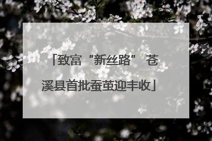 致富“新丝路” 苍溪县首批蚕茧迎丰收