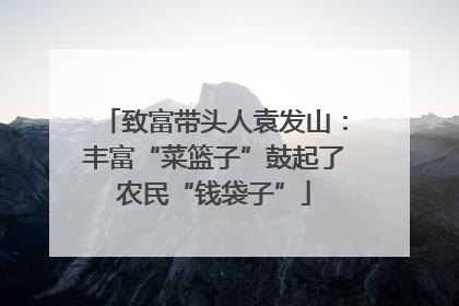致富带头人袁发山：丰富“菜篮子”鼓起了农民“钱袋子”