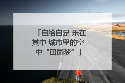 自给自足 乐在其中 城市里的空中“田园梦”